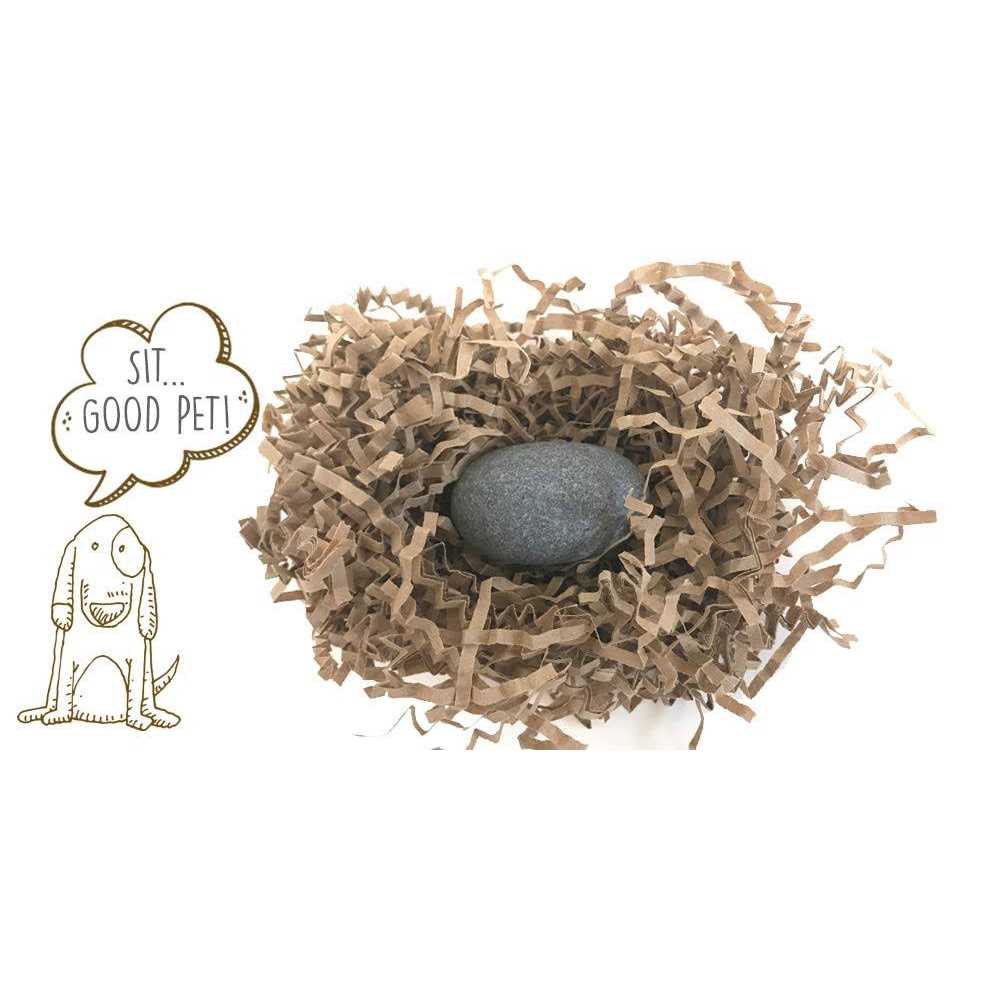 Pet Rock The Original by Gary Dahl - Pet Supplies Online Store