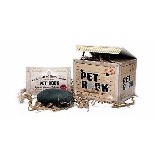 Pet Rock The Original by Gary Dahl - Pet Supplies Online Store